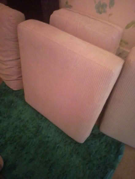 Photo of free Couch seat cushions (Stirling FK8) #2