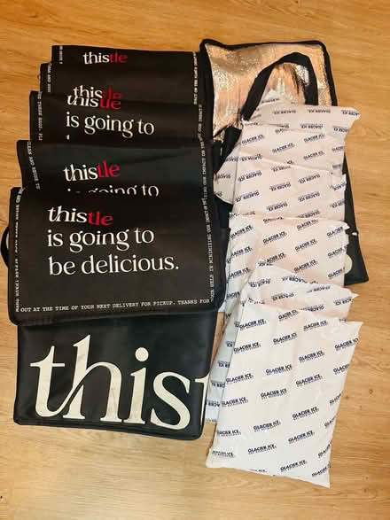 Photo of free 6 Cooler Bags with Large Ice Packs (Boho/The Bowery) #1