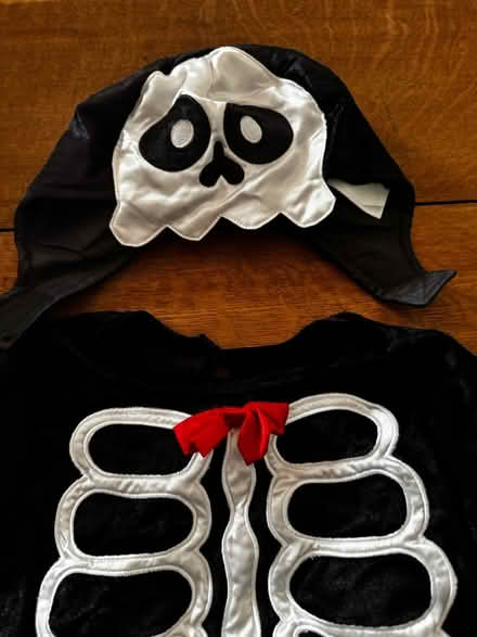 Photo of free Baby Halloween costume (WA4, Appleton) #2