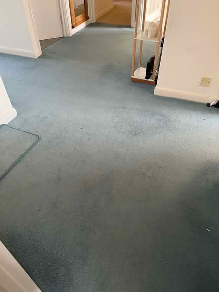 Photo of free Carpet & Underlay (Cooden TN39) #2