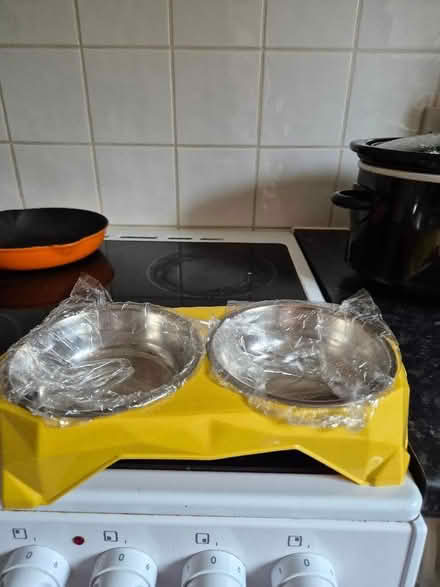 Photo of free Small dog or cat bowls on a stand (Earlham NR5) #2