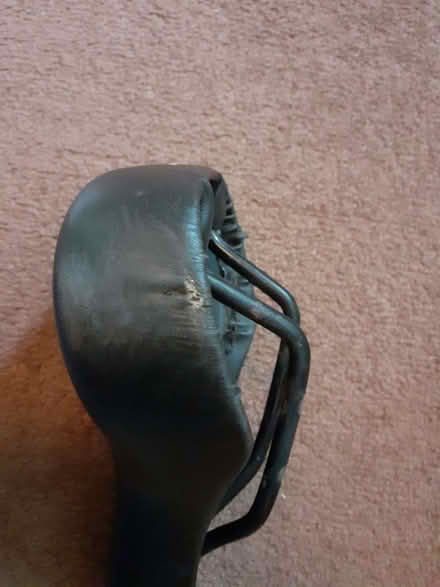 Photo of free Green Frog Children's Bike Saddle size 40-55 (Gledhow LS8) #4