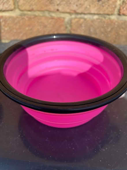 Photo of free Collapsible / Portable dog bowl (small) (Caversham Park RG4) #2