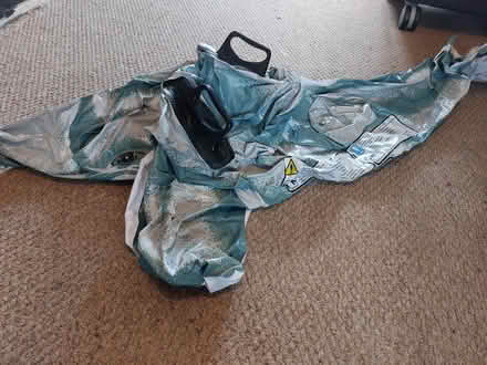 Photo of free 2 inflatable dolphins (Coley RG1) #2