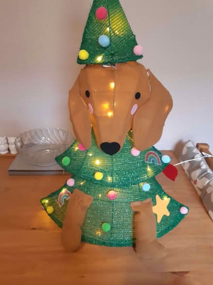 Photo of free Xmas decoration lights up (Bexhill TN39) #2