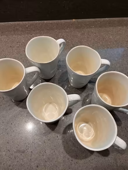Photo of free Crate & Barrel MARIN line cups (Central San Rafael) #2