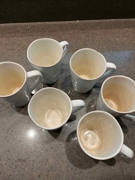 Photo of free Crate & Barrel MARIN line cups (Central San Rafael) #2