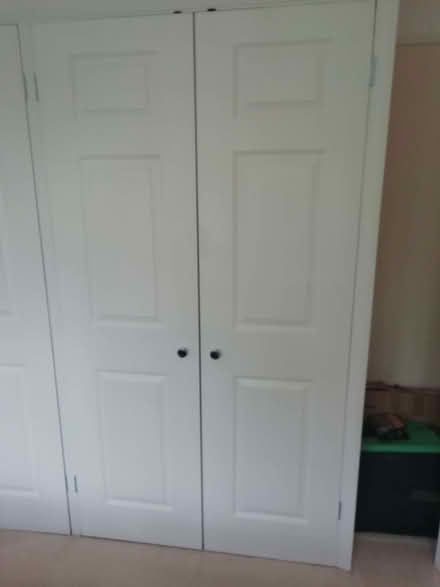 Photo of free 2 wardrobe doors (Emmer Green RG4) #1