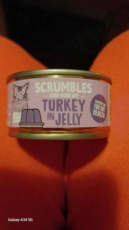 Photo of free Tins of posh cat food (AL1) #4