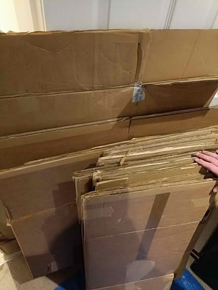 Photo of free Moving boxes and packing materials (CB1) #4