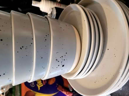 Photo of free Dinner plates & bowls (BS34 (Stoke Gifford)) #1