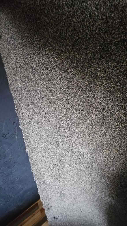 Photo of free Part roll of Tapi/Carpet-right carpet (Spixworth NR10) #2