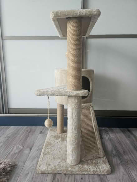 Photo of free Cat tree (TW3) #3