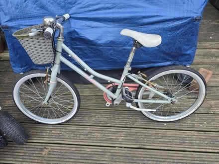 Photo of free Girl's Bike 20" (CR8) #1