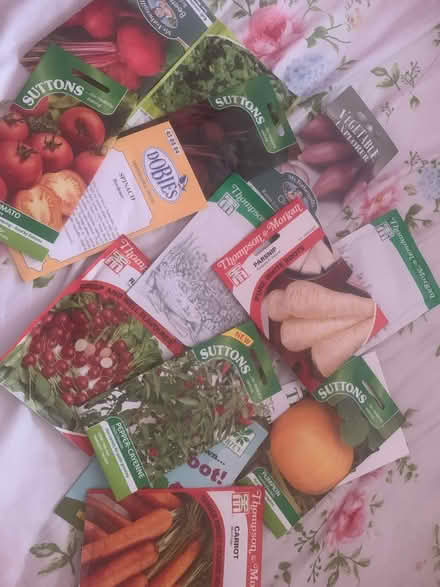 Photo of free Assorted veg seeds (Orpington) #1
