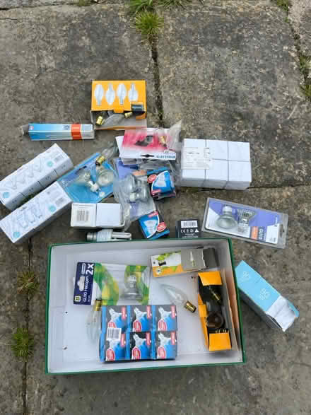 Photo of free Collection of light bulbs (Whitley, Wiltshire, SN12) #1