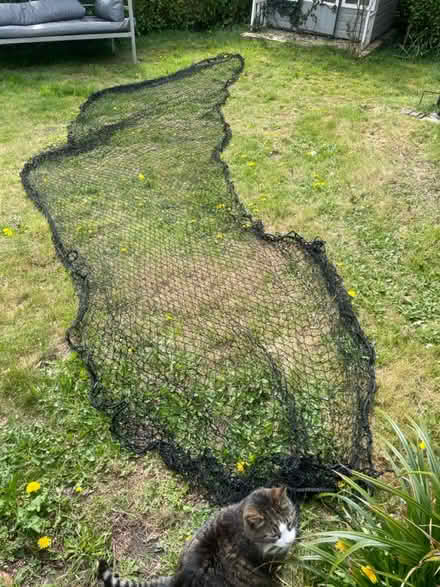 Photo of free Large garden net (Pennhill BH14) #1