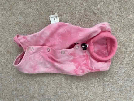 Photo of free Cat tee shirt (Ealing W13) #1