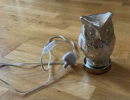 Photo of free Owl lamp (Bournemouth BH9) #1