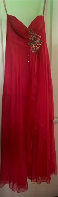 Photo of free Prom Dresses (Sunnyvale 94087) #2