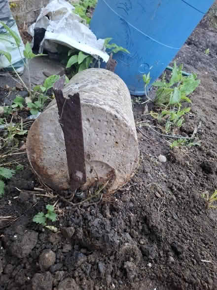 Photo of free Garden roller - no handle (Croydon CR2) #3