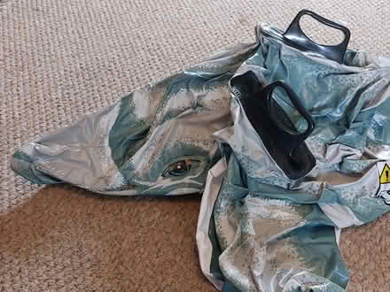 Photo of free 2 inflatable dolphins (Coley RG1) #1