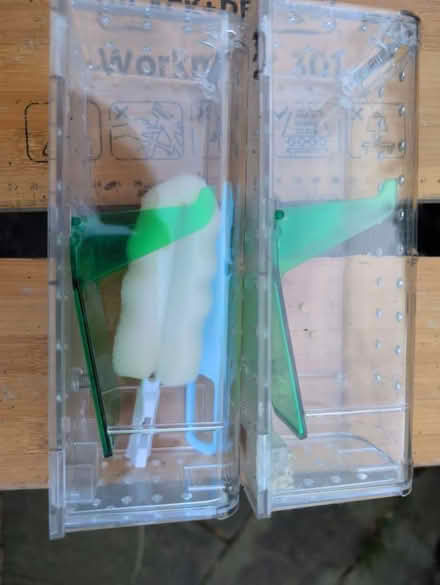 Photo of free two humane mouse traps (L18) #1