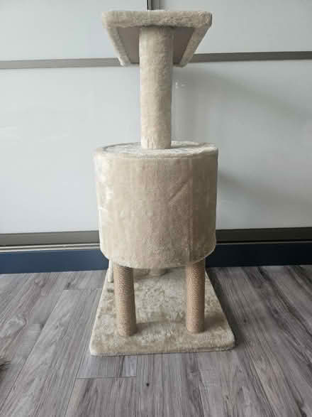 Photo of free Cat tree (TW3) #4