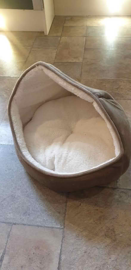 Photo of free Kitten bed (Linslade LU7) #1