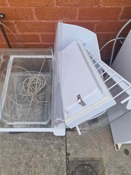 Photo of free Induction hob and fridge (Wa9) #1