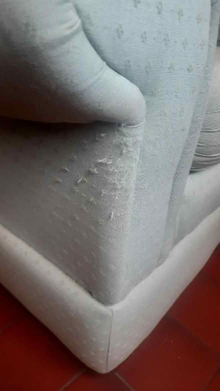 Photo of free 2 seater sofa (Broseley TF12) #2