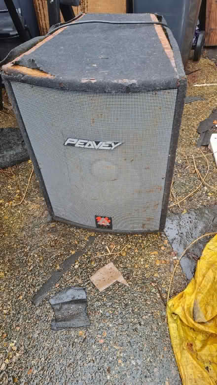 Photo of free Peavy 2xt (Croydon) #1