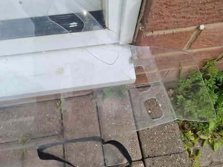 Photo of free boot buddy safe-d-guard - car dog guard/screen (Sunniside NE16) #1