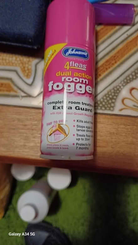 Photo of free Room fogger for cat / dog fleas (AL1) #1