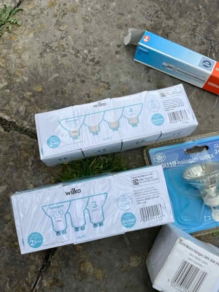 Photo of free Collection of light bulbs (Whitley, Wiltshire, SN12) #3