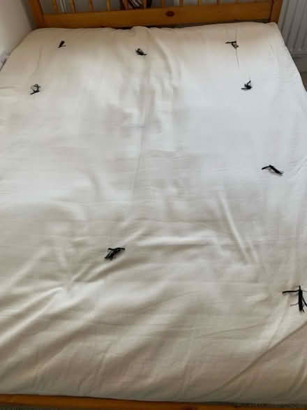 Photo of free Futon (Whitehawk BN2) #1