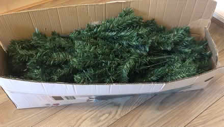 Photo of free 6ft Christmas Tree (Warrington WA2) #2