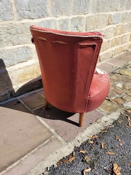 Photo of free Low chair (Clint HG3) #2