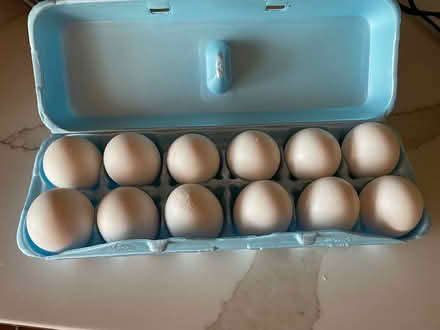 Photo of free One dozen eggs (San Leandro near the Marina) #2