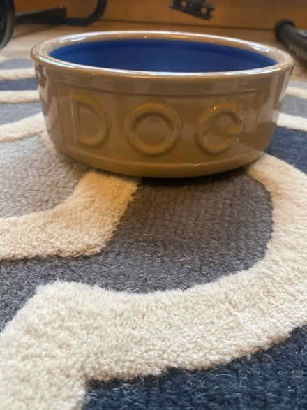 Photo of free Large ceramic dog bowl (N14 Oakwood Park) #1