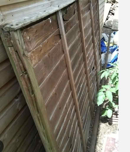 Photo of Old fencing (Redditch) #1