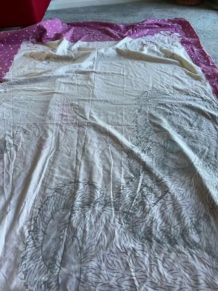Photo of free Forever Friends single duvet set (Hampden Park BN22) #3