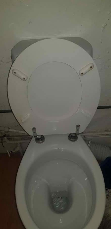 Photo of free Wooden toilet seat with white vinyl (Fullwell cross) #1