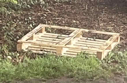 Photo of free Wooden Pallet (Northolt Avenue CM23) #1