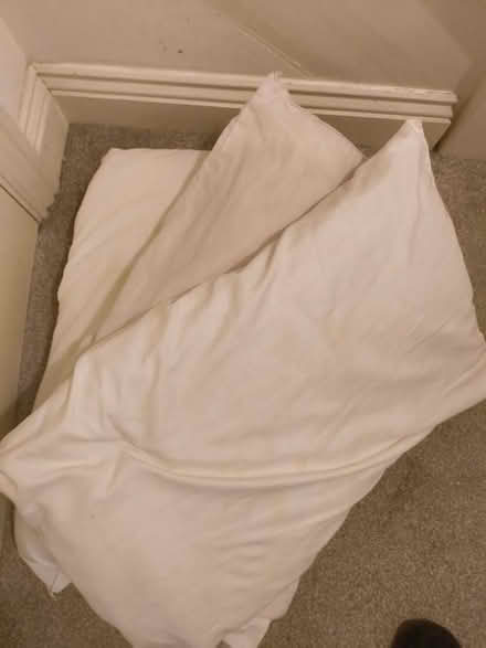 Photo of free 3 pillows (Bermondsey SE16) #1