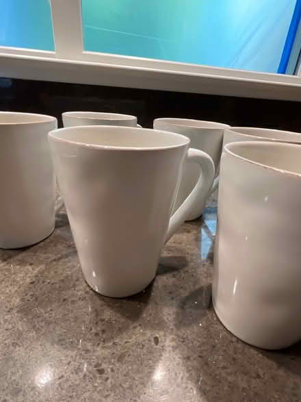 Photo of free Crate & Barrel MARIN line cups (Central San Rafael) #1