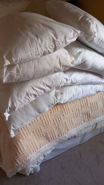 Photo of free Pillows (Llanddulas LL22) #3
