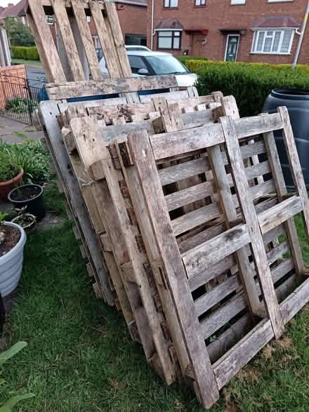 Photo of free Pallets (WR9 Droitwich) #1