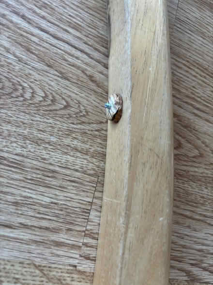 Photo of free Broken rocking chair (Hassocks BN6) #3