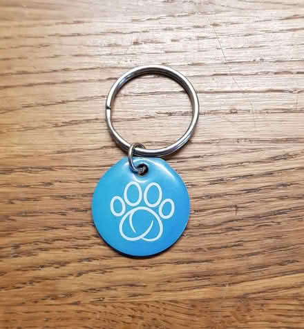 Photo of free Microchip pet door (Wood Street E17) #4